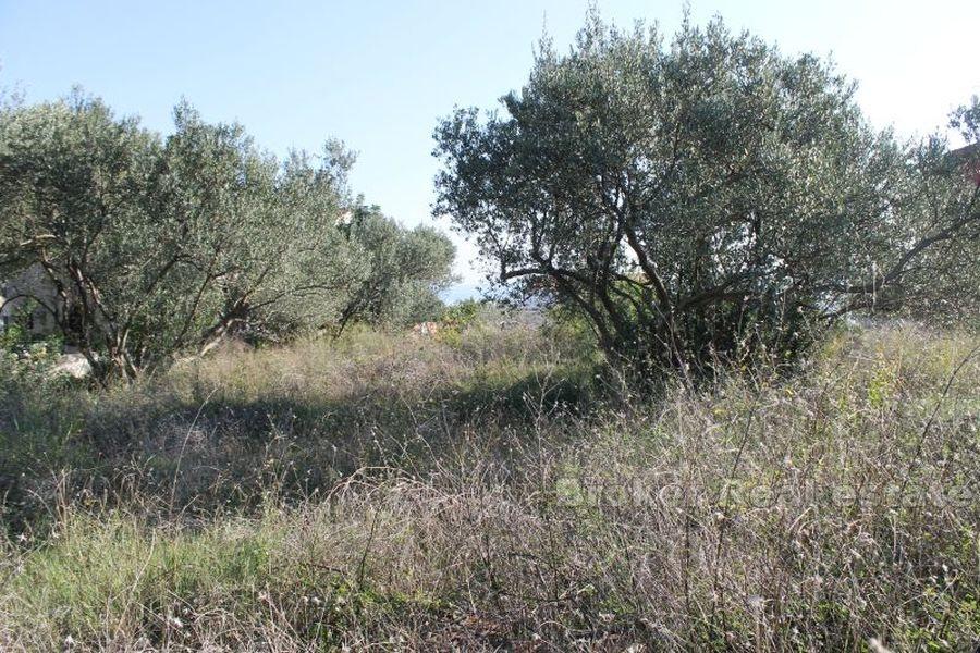 Terrain à batir, à vendre