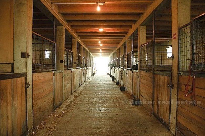Mini hotel for sale