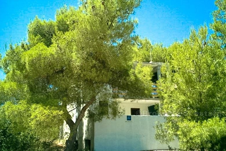 House with two apartments