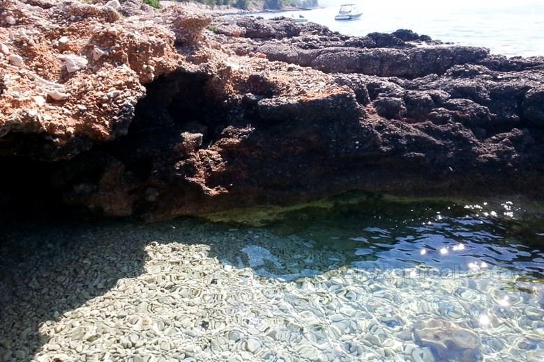 The property above the exotic beach