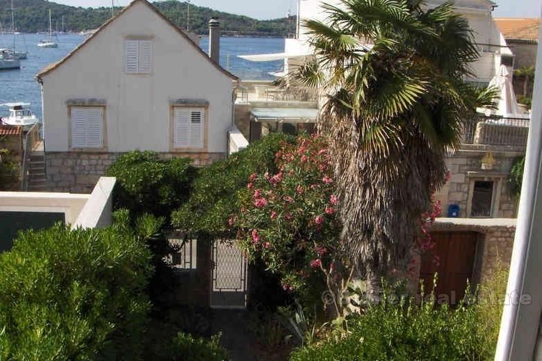 House with a garden