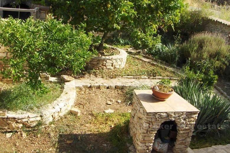 House with a garden