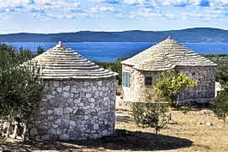 Two houses with olive grove