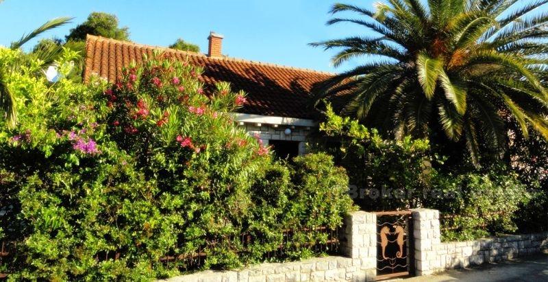 House / Villa surrounded by garden