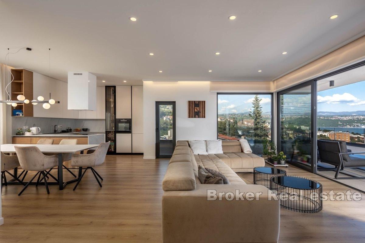 Luxurious penthouse in the center