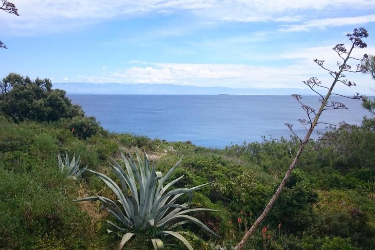 Hus i lugnt läge nära havet