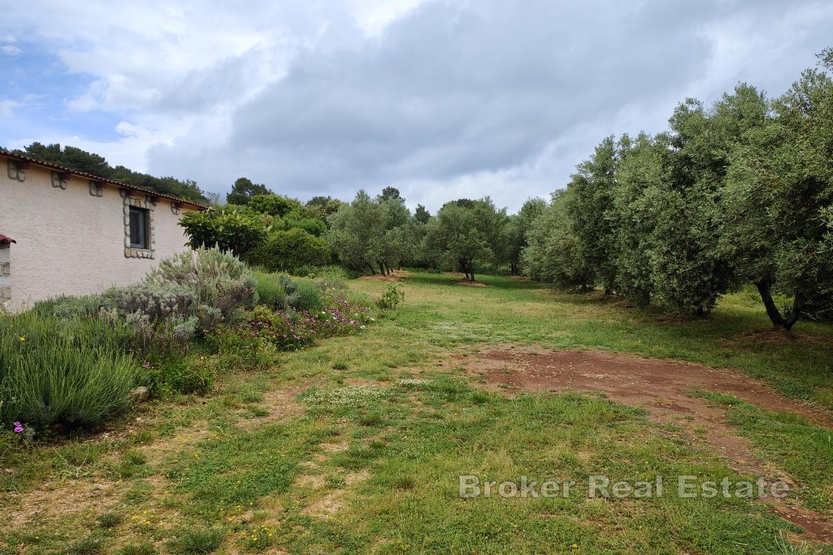 Terreno edificabile vicino al mare
