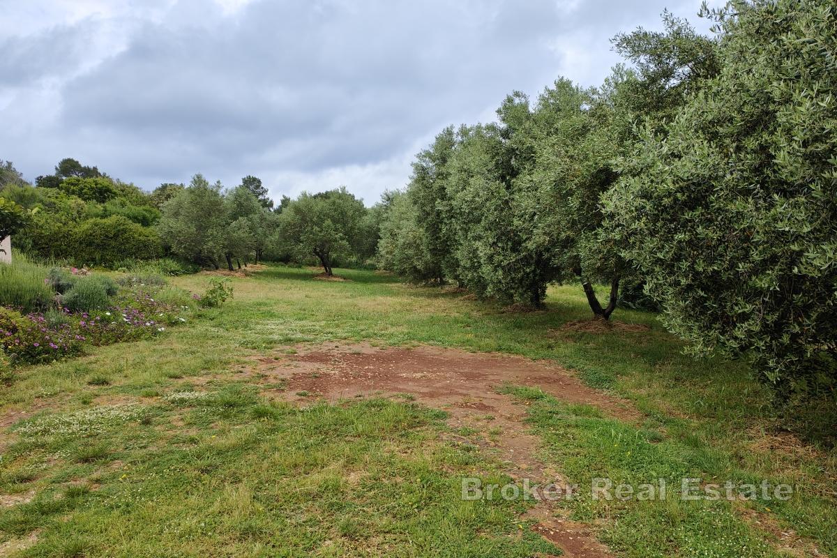 Građevinsko zemljište u blizini mora