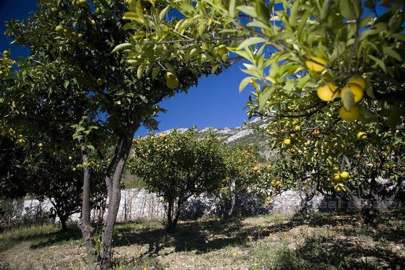 Красивый средиземноморский дом