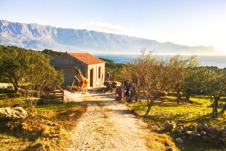 Small house with large land, for sale