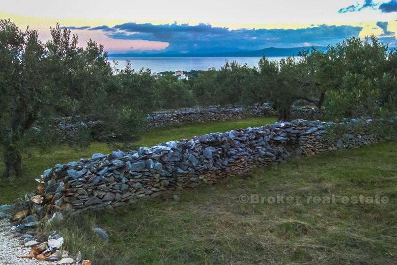 Small house with large land, for sale