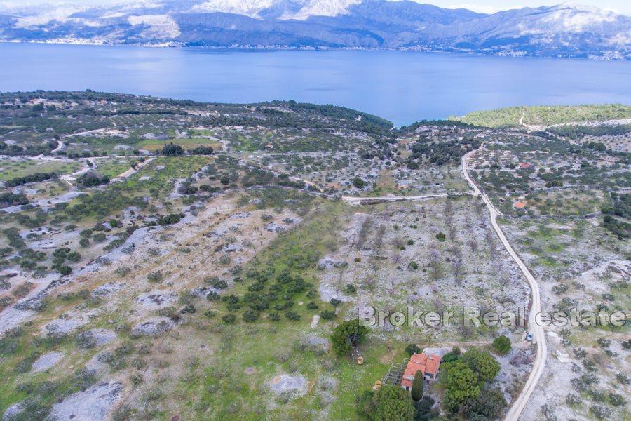 Land with stone ruin
