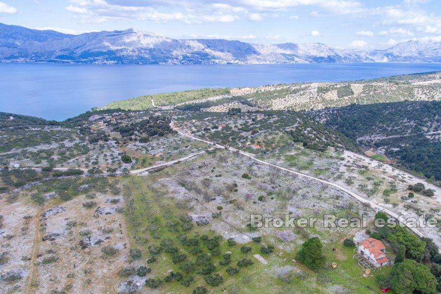 Terrain avec ruine de pierre