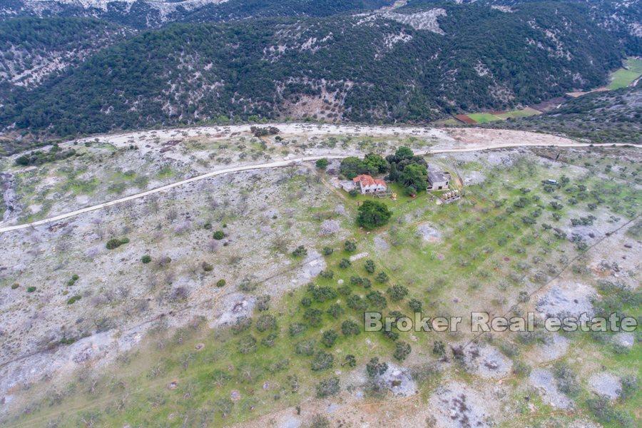 Terrain avec ruine de pierre