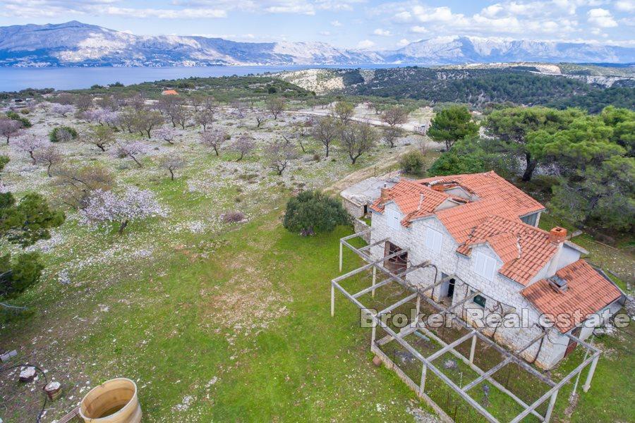 Terrain avec ruine de pierre