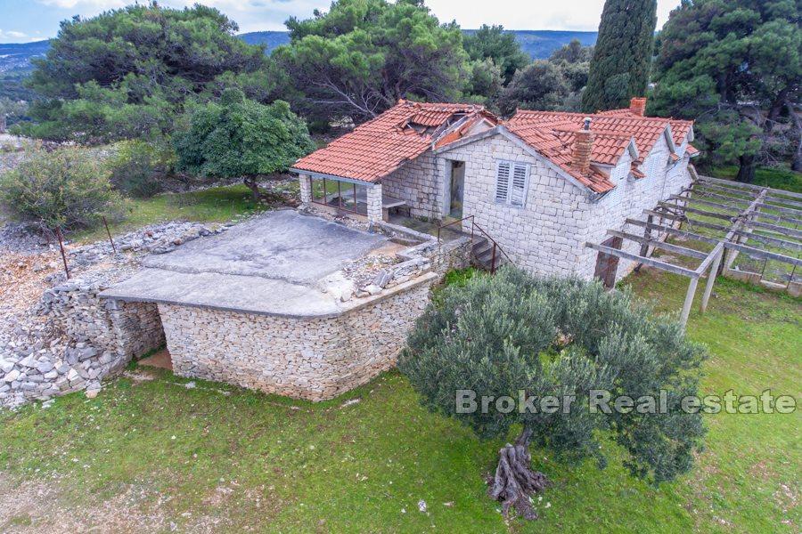 Terrain avec ruine de pierre
