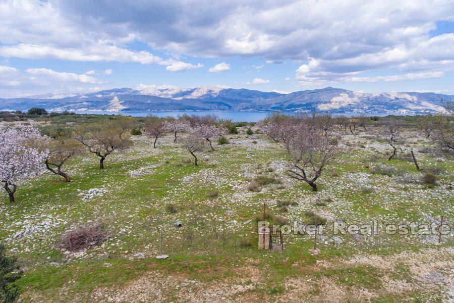 Terrain avec ruine de pierre