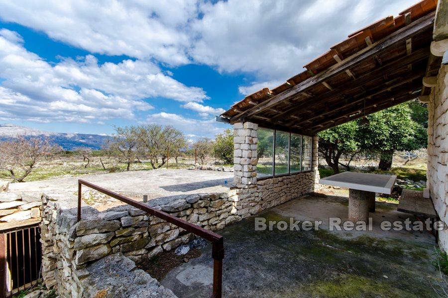 Terrain avec ruine de pierre