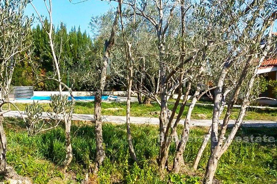 House with pool and spacious garden