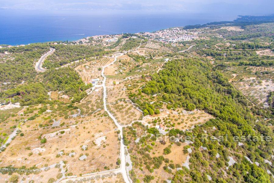 Spacious land with great potential