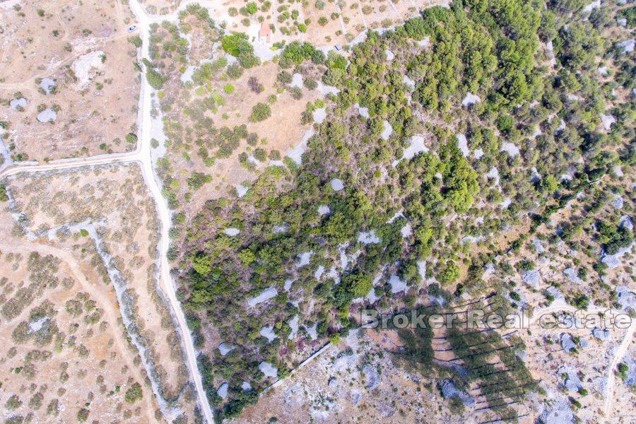 Romslig tomt med stort potensial