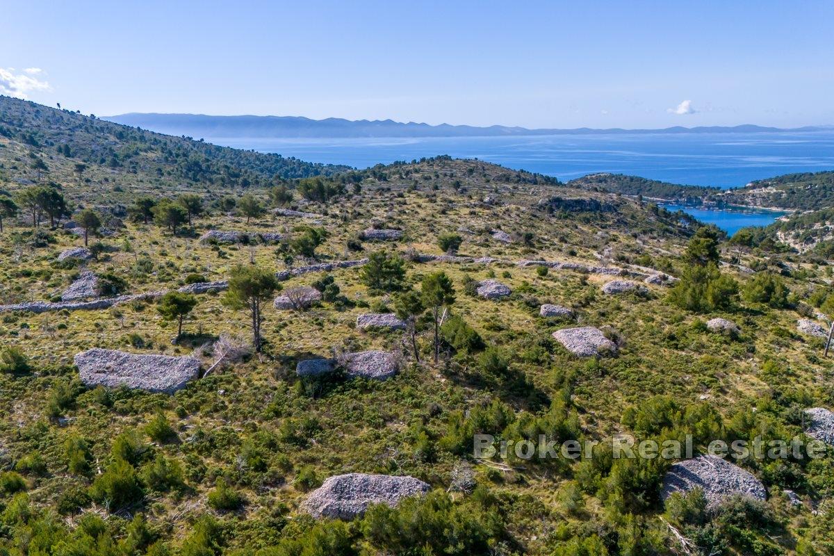 01-2013-179-Brac-agricultural-land-for-sale