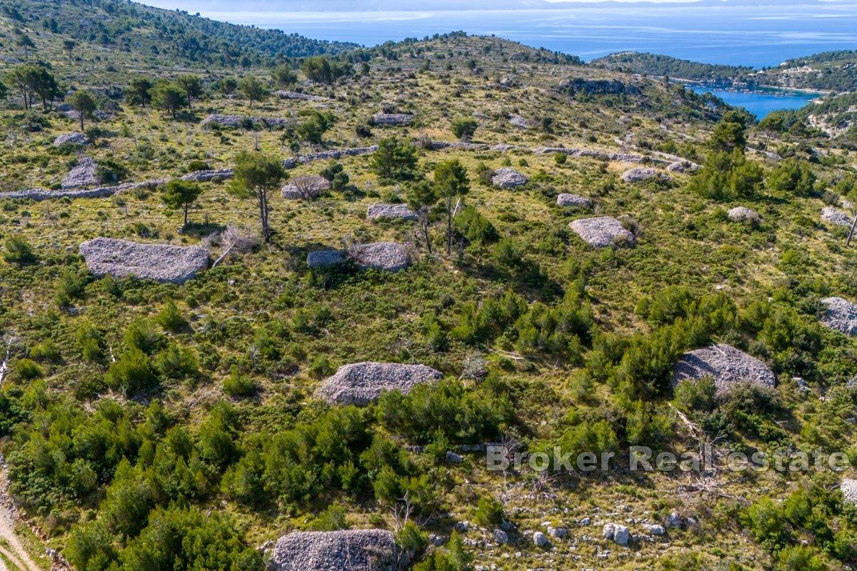 Geräumiges landwirtschaftliches Grundstück mit Meerblick