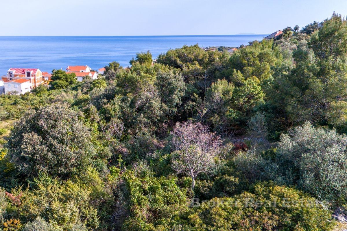 Terrain constructible avec vue dégagée sur la mer