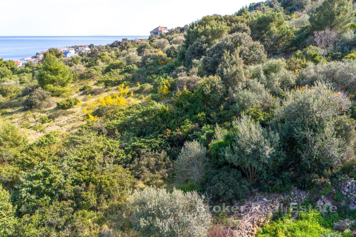 Terrain constructible avec vue dégagée sur la mer