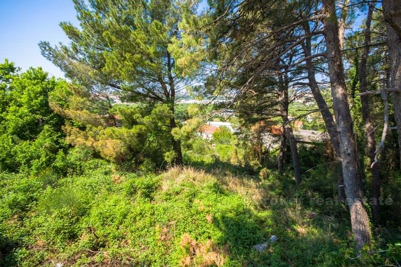 Byggegrunn på 1650 m2, i salg
