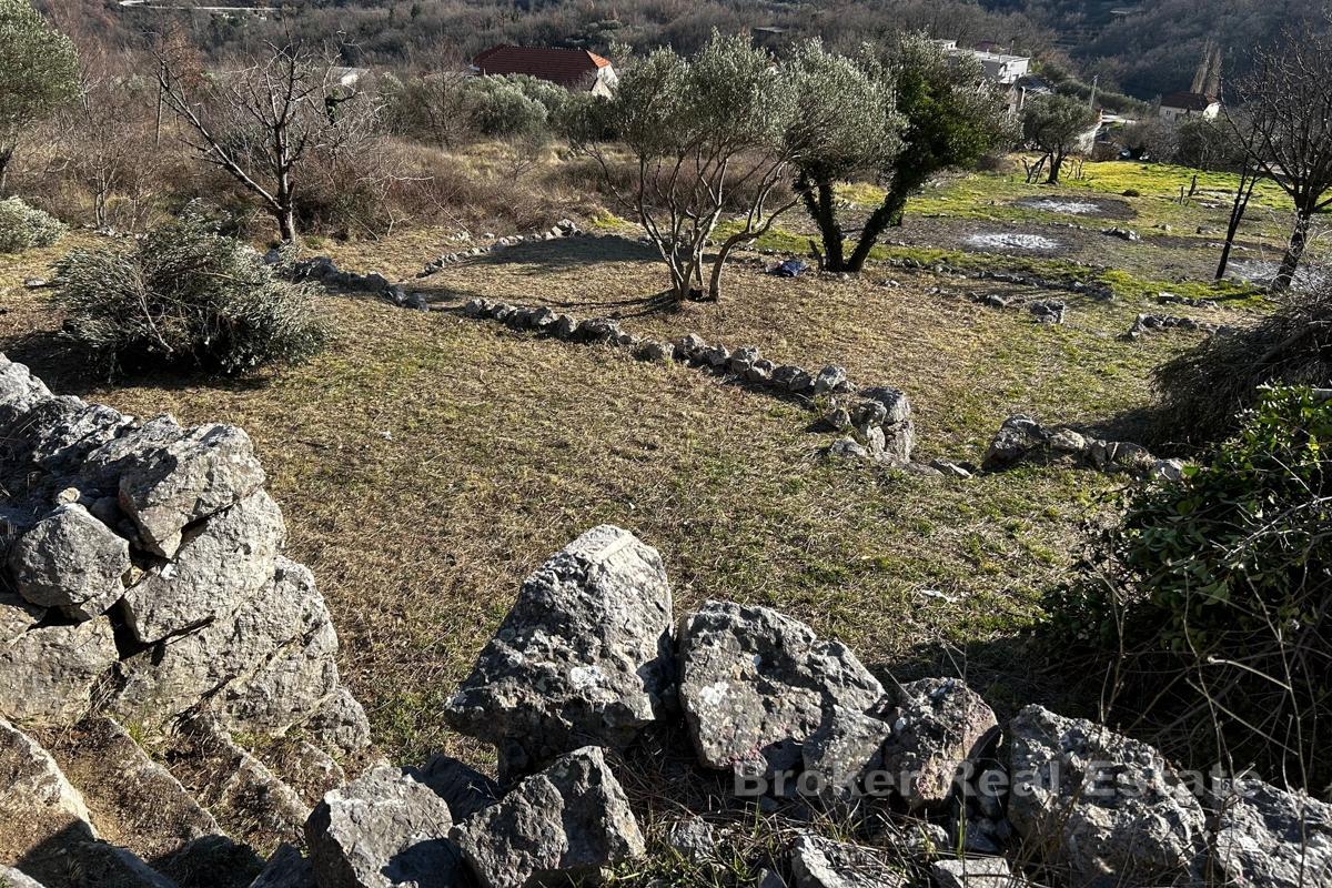 Rymlig byggmark i lugnt läge