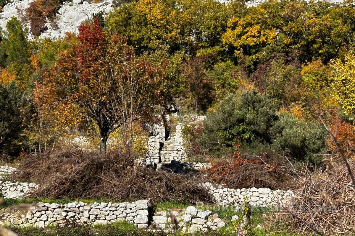 Romslig byggeplass i rolig beliggenhet