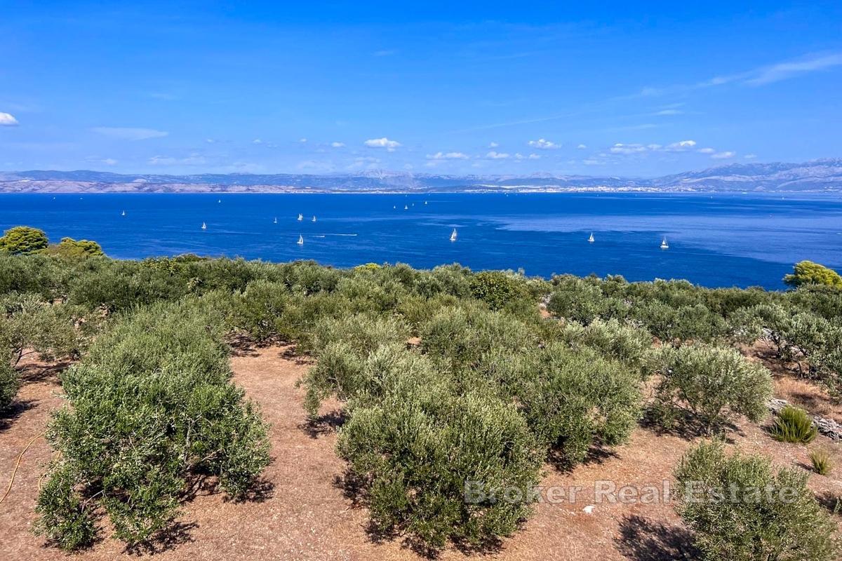 Unik eiendom med havutsikt