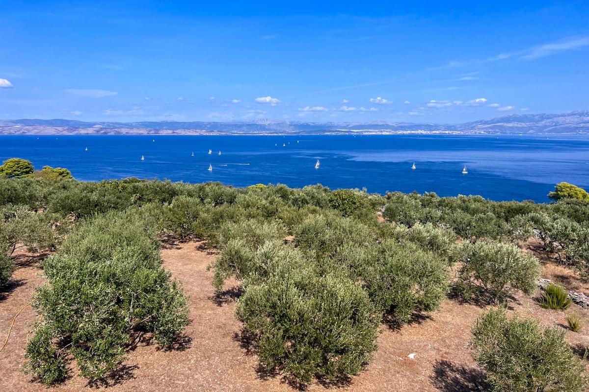 Unik eiendom med havutsikt