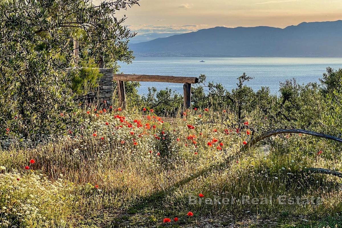 Unik eiendom med havutsikt