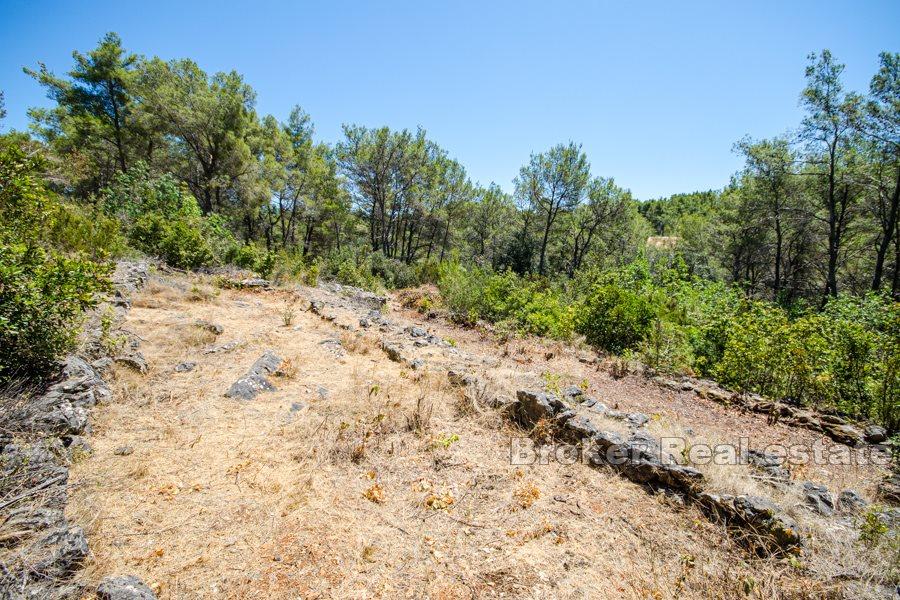 Bauland mit Meerblick