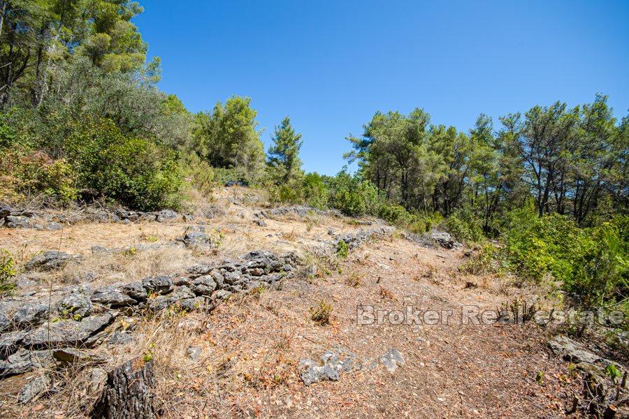 Bauland mit Meerblick
