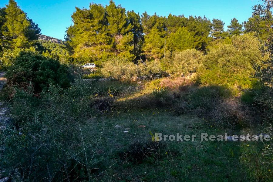 Działka budowlana z widokiem na morze