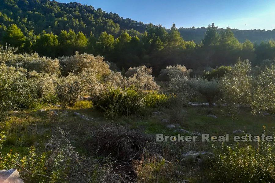 Działka budowlana z widokiem na morze