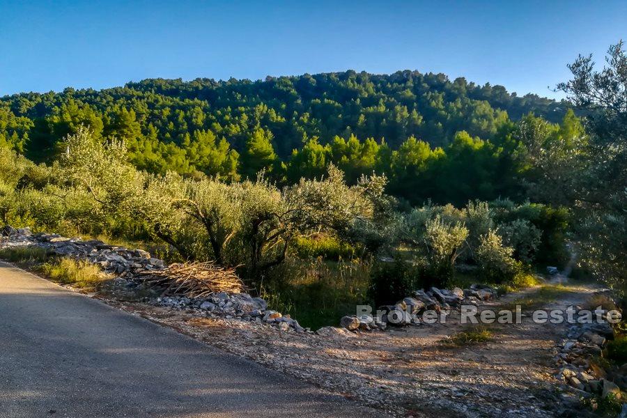 Działka budowlana z widokiem na morze