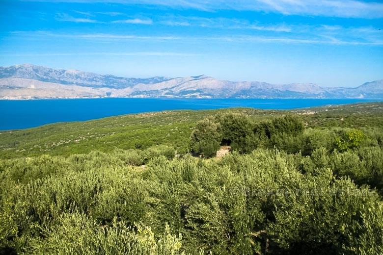 Dům s pozemkem, k prodeji