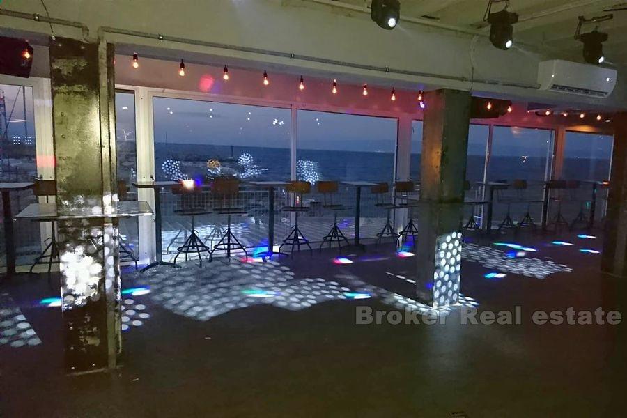 Zenta, noćni klub / ugostiteljstvo