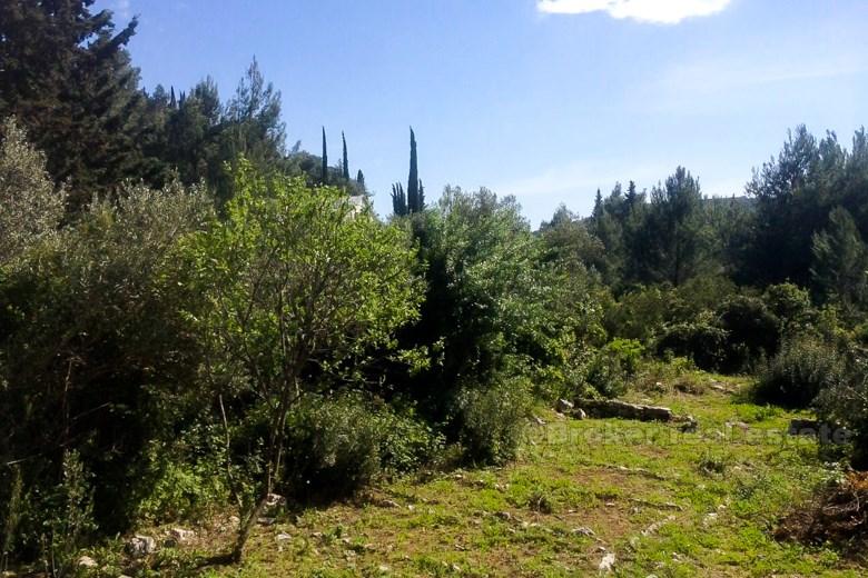 Big land plot, for sale