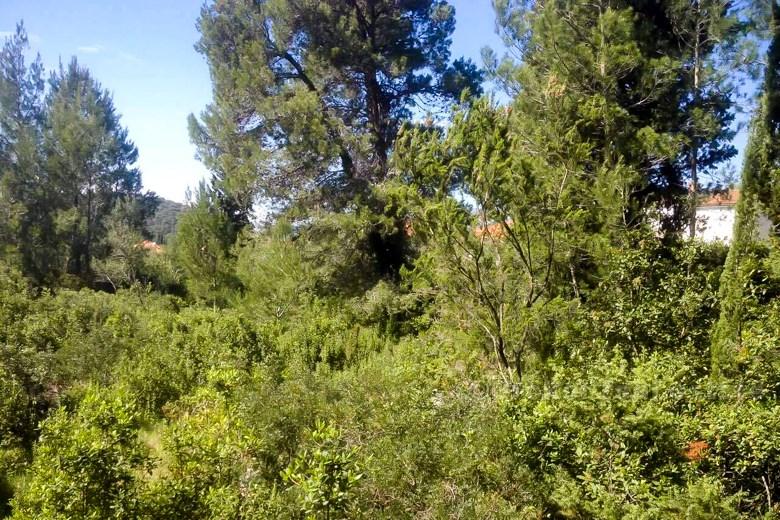 Gros terrain, à vendre