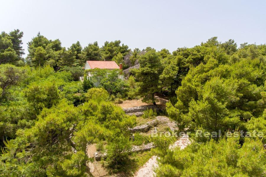 House by the sea, for sale