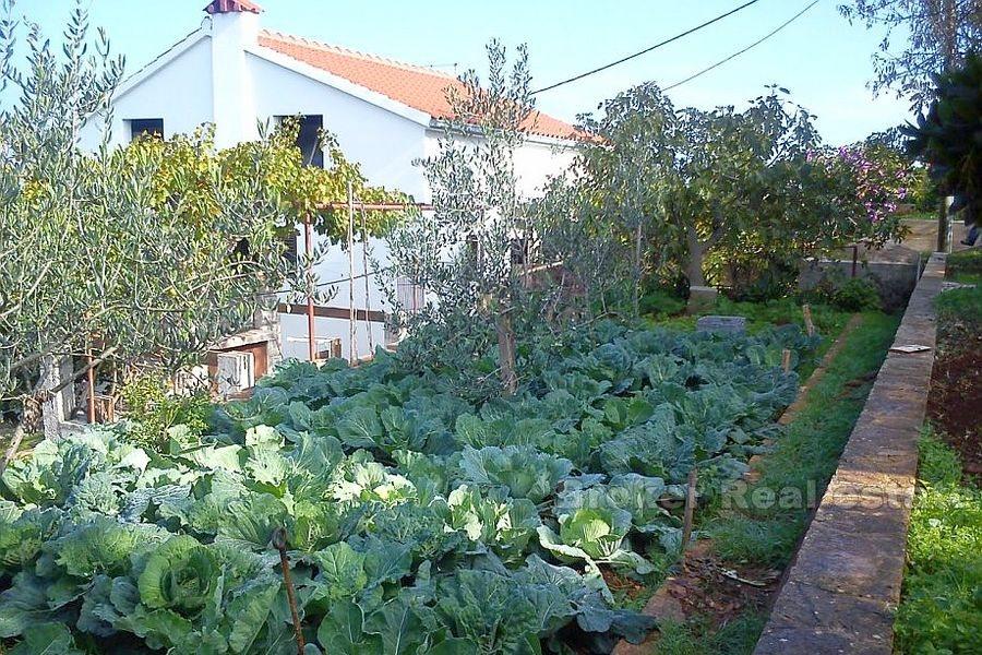 Isola di Solta, casa con vista mare
