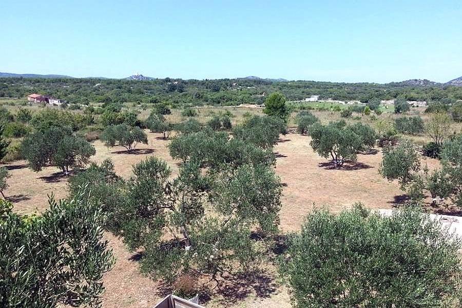 Dom z działką, na sprzedaż