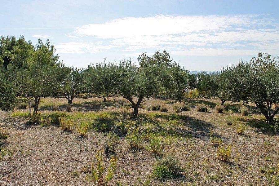 Building plot, for sale