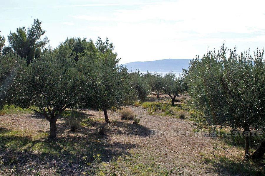 Terrain à bâtir, à vendre