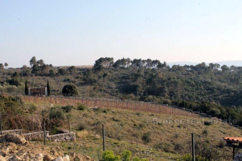 Building plot, for sale, island Ciovo